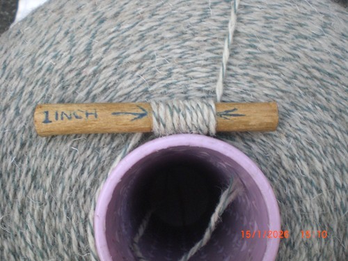 Wool off cheviot sheep 2 - off,