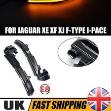 Dynamic LED Wing Mirror