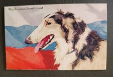 Rare Dog Postcard, The Russian