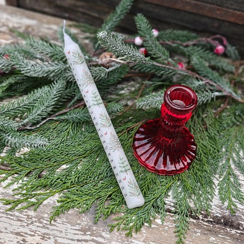 Scandi christmas trees robins - christmas,