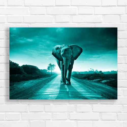 Elephant walking road - elephant,