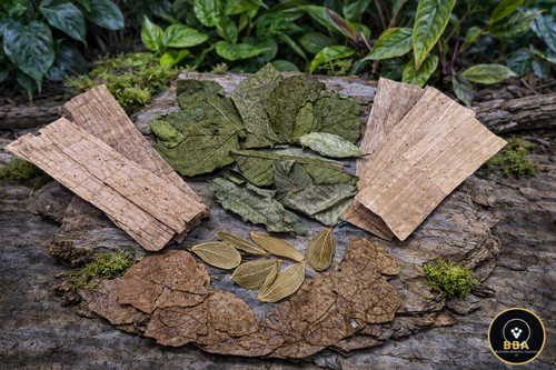 Leaf pack terrarium - leaf,
