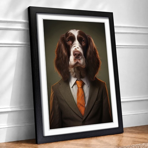 English springer spaniel a - springer,
