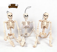 Human skeleton bones real 40cm - human,