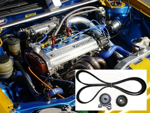 Timing belt cam - timing, for