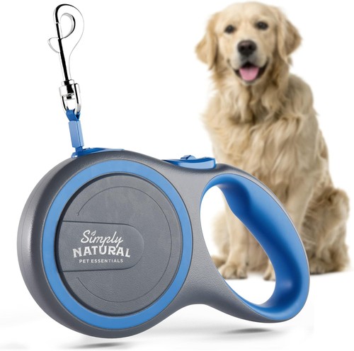 Retractable dog lead - dog,