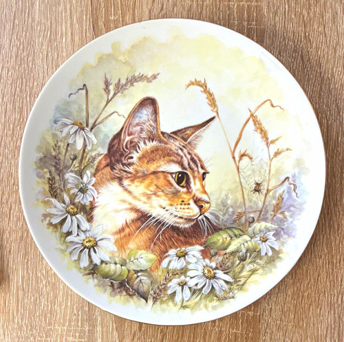 Nbj staffordshire bone china - nbj,