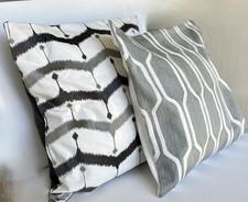 NWT West Elm ( 2) Pillows