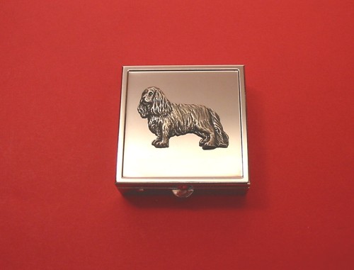 King charles spaniel square - king,