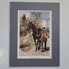 Robert Led Me Away - Lucy