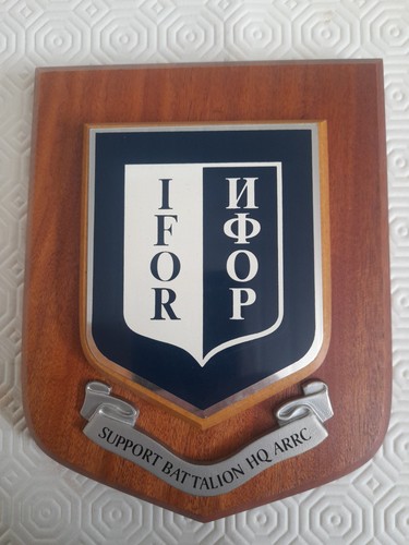 Military support battalion - military,
