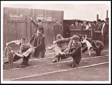 WHIPPET RACING THE START