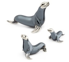 Saturno Silver Sea Lion  -