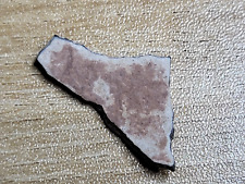 Raptor egg shell dinosaur trace  fossil with original matrix (ref103) beautiful!