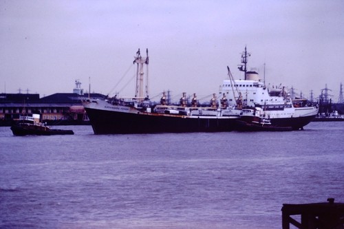 1981 alexanders power shipping - 1981,