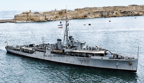 Royal navy black swan - navy, class