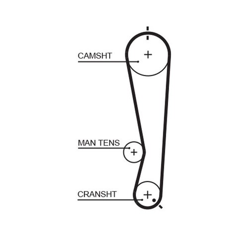 Gates timing belt - gates, cambelt