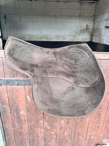 Equitex hunter saddle pad - saddle,