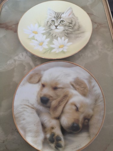 Two plates snuggle love - two,