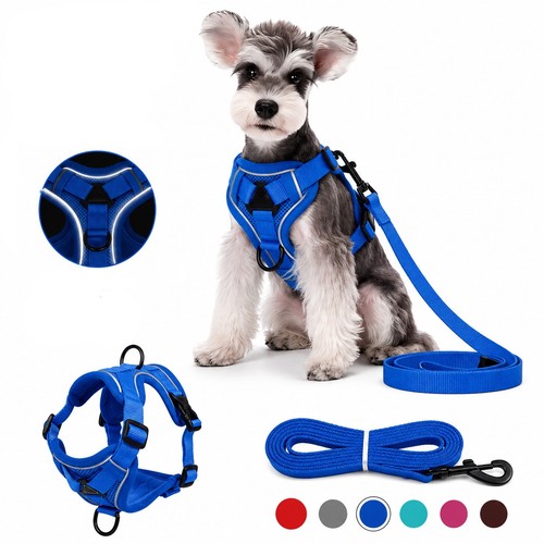 Reflective pull dog - no,
