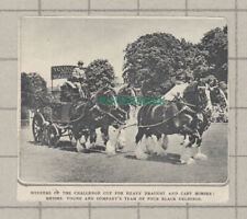 C4060) Messrs Young & Company