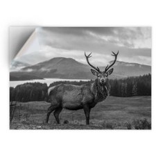 1 x Vinyl Sticker A4 - BW -