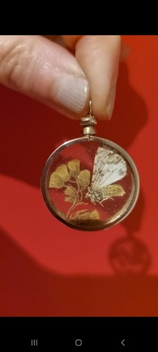 Vintage glass butterfly dried - vintage,