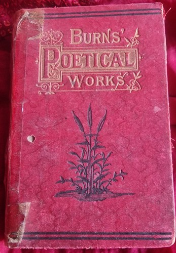 Burns poetical works 1900s - burns',