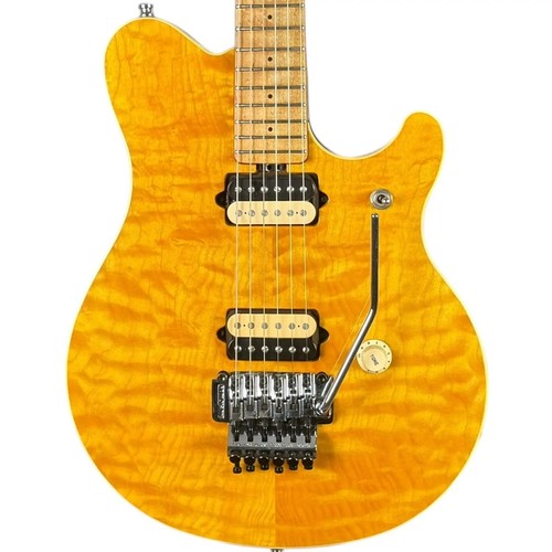 Ernie ball music man - eddie, van