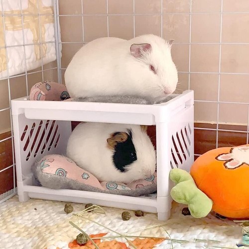 Hideout corner sleeping pet - corner,