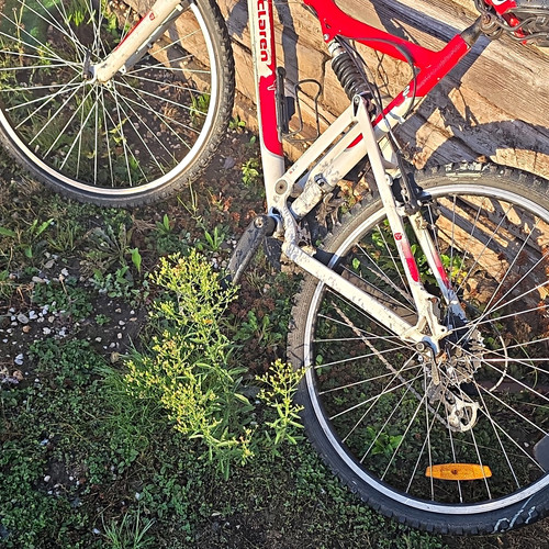 Claren mountain bike in - 26,
