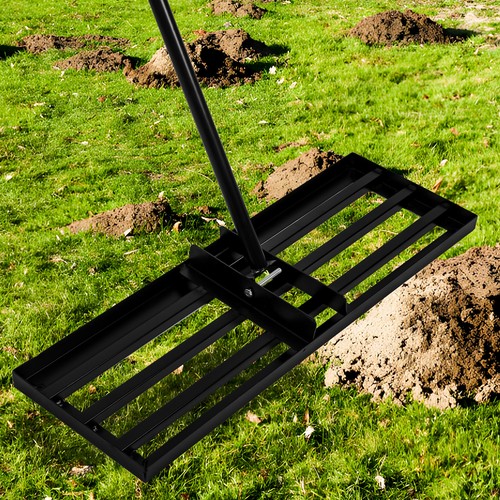 Lawn leveller rake levelling - rake,
