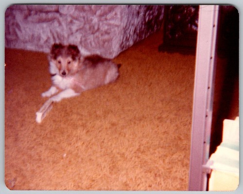 Vtg color snapshot cute - snapshot,