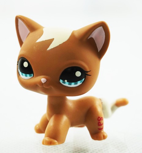 Brown cat short hair lps - 2'',