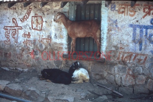 35mm slide 1993 india - 35mm,