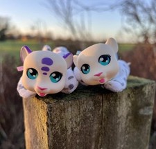 🤍 Rare! Safari Surprise