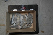 5 kg  Lead Ingot