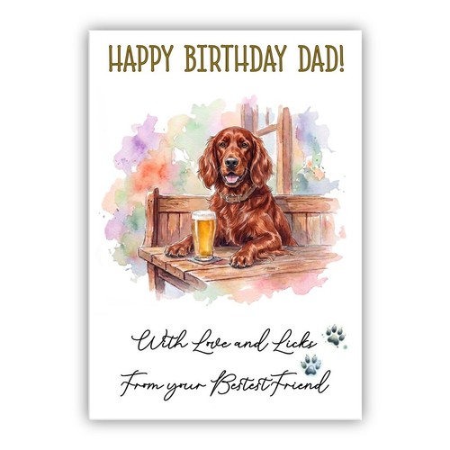 Irish red setter - red,