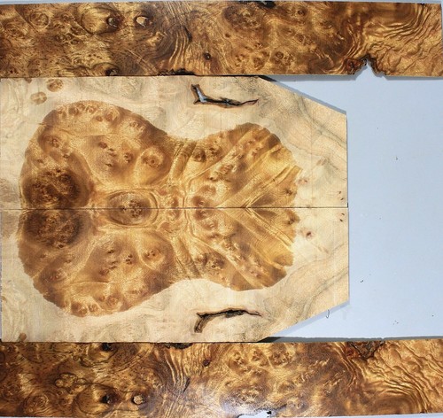 Golden camphor wood - golden,