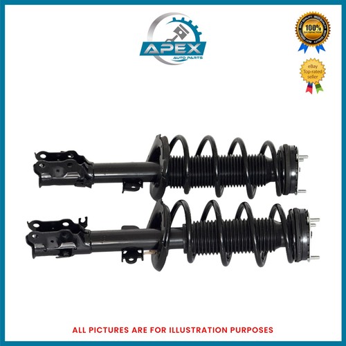 Shock absorber strut coil - strut, &