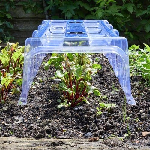 Smart garden clear cloche - smart,