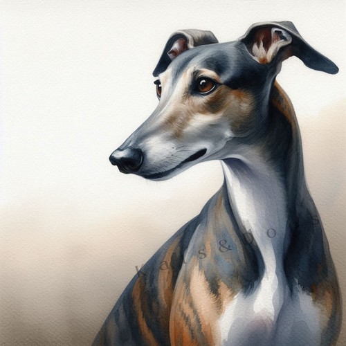 Greyhound watercolour art - watercolour,