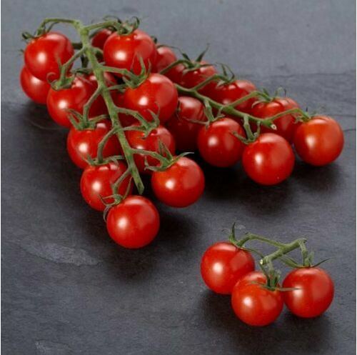 Piccolo red cherry tomato - red,