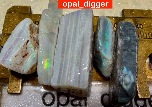 Australian rough opal - rough, auctions