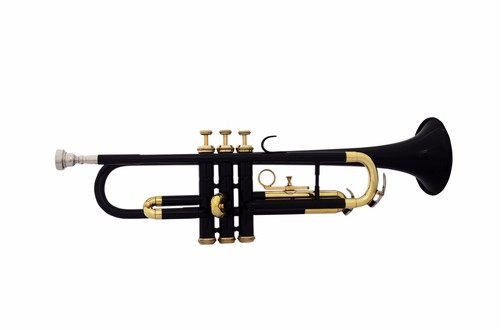 Trumpet student summer - student,