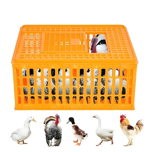 Poultry carrier crate chicken - carrier,