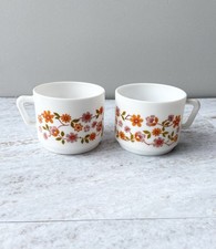 2 x Vintage Arcopal France