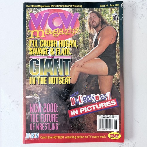 Wcw magazine public enemy - wcw, w/
