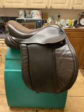 Gorgeous 13 1/2” English