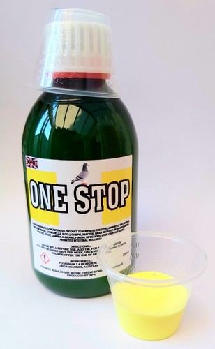 One stop trichomoniasis - stop,